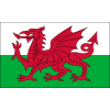 Značka tima Wales